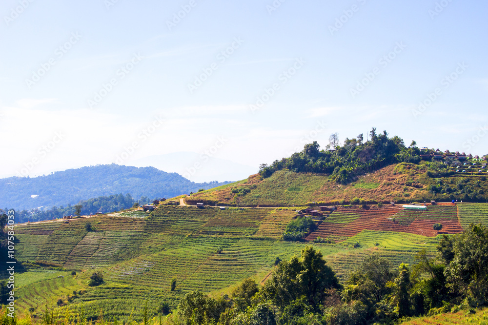 Fototapeta premium Thai landscape - valley with colorful hills and plantations, Thailand, Mae Rim