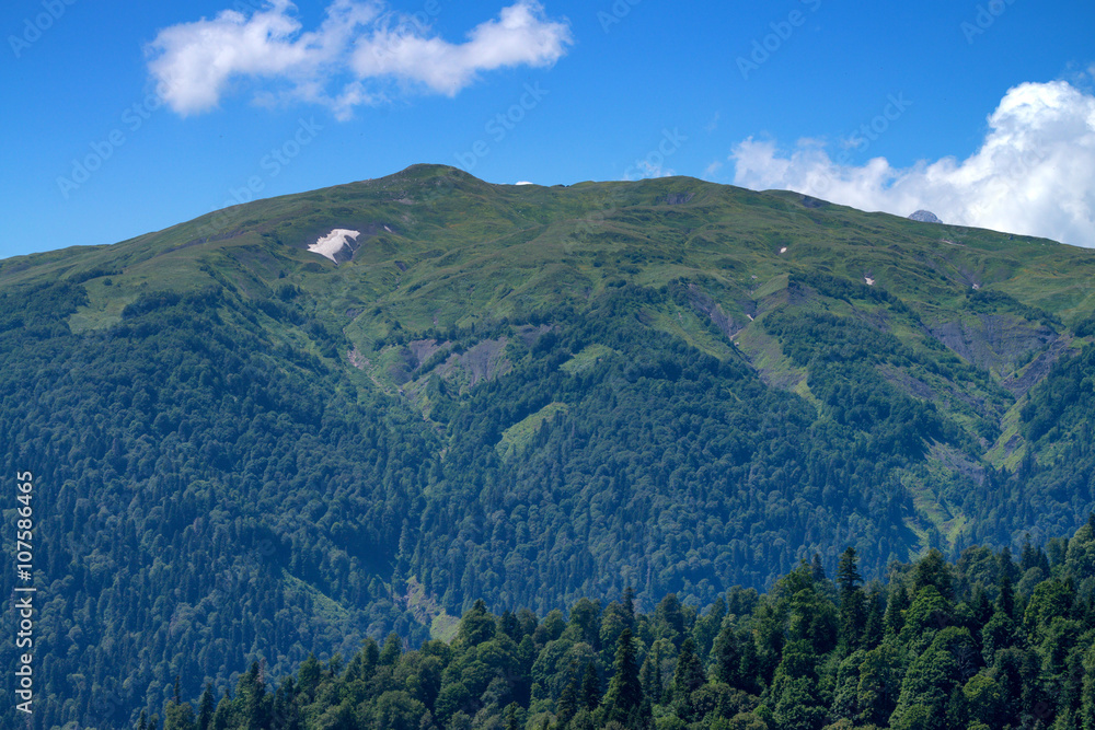 Mountain landscape with snow and forest