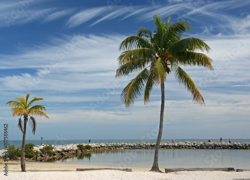 Palmenstrand auf Key Largo