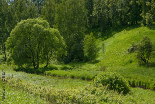 Bright green landscape of small river valley in Khotkovo, Russia