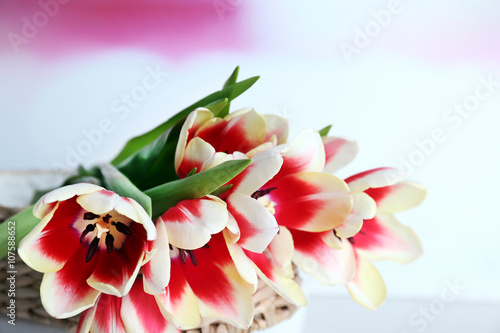 Bouquet of variegated tulips on blurred background  close up