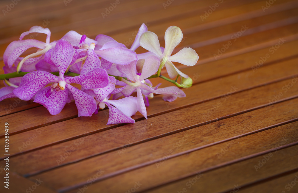 Tropical flower on wooden surface. Tropical flower on wooden surface.