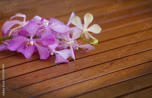 Tropical flower on wooden surface.