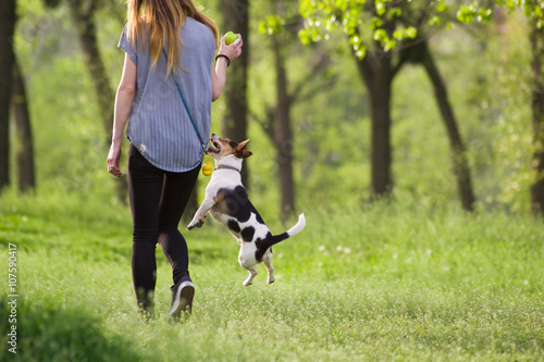 Young woman walking with a dog playing training