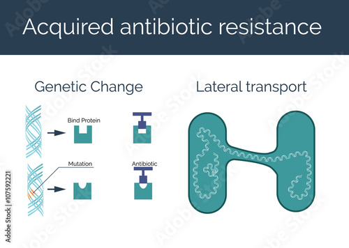 Acquired antibiotic resistance vector illustration. Genetic change and lateral transport