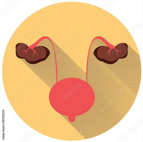 Kidney failure icon. Kidney disease vector illustration.