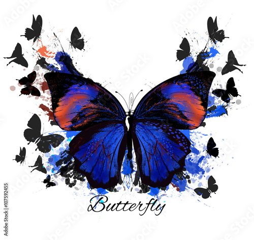 Vector illustration with detailed butterfly in vintage style