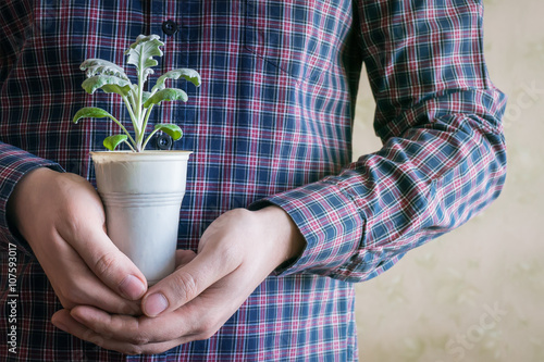 Small plant in human hands