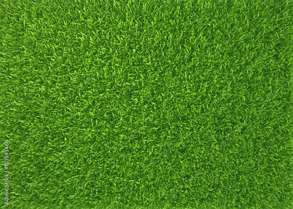 Obraz premium Green grass. natural background texture. fresh spring green grass