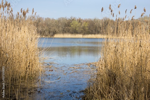  river with high dry grass