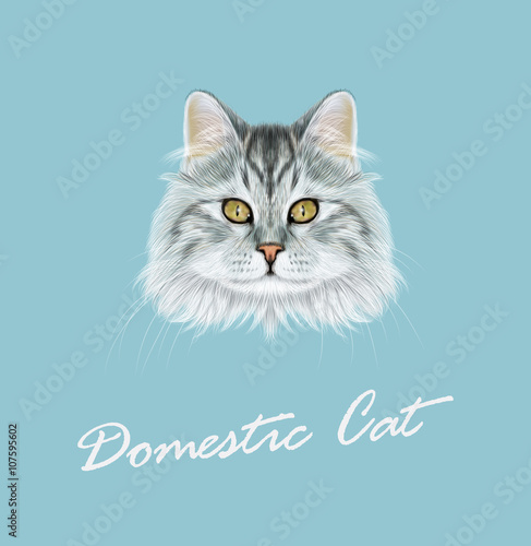 Vector Illustrated Portrait of Domestic cat.