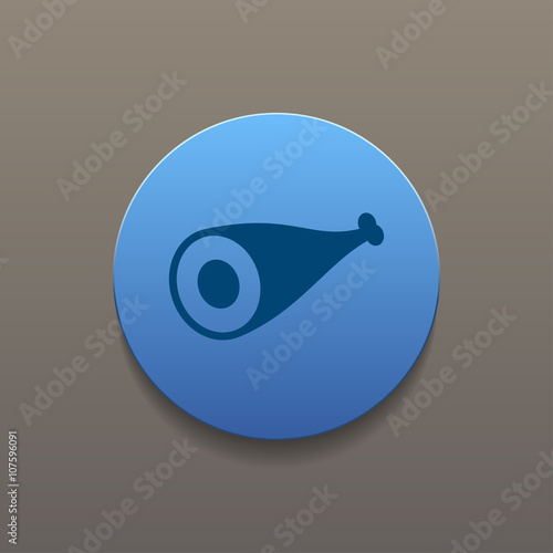Meat icon. Flat design style.