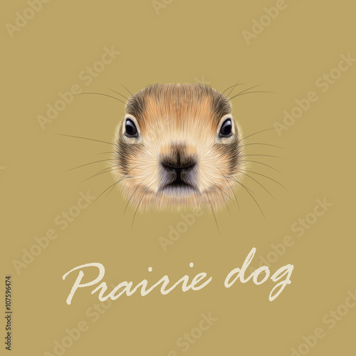 Vector Illustrated Portrait of Prairie dog.
