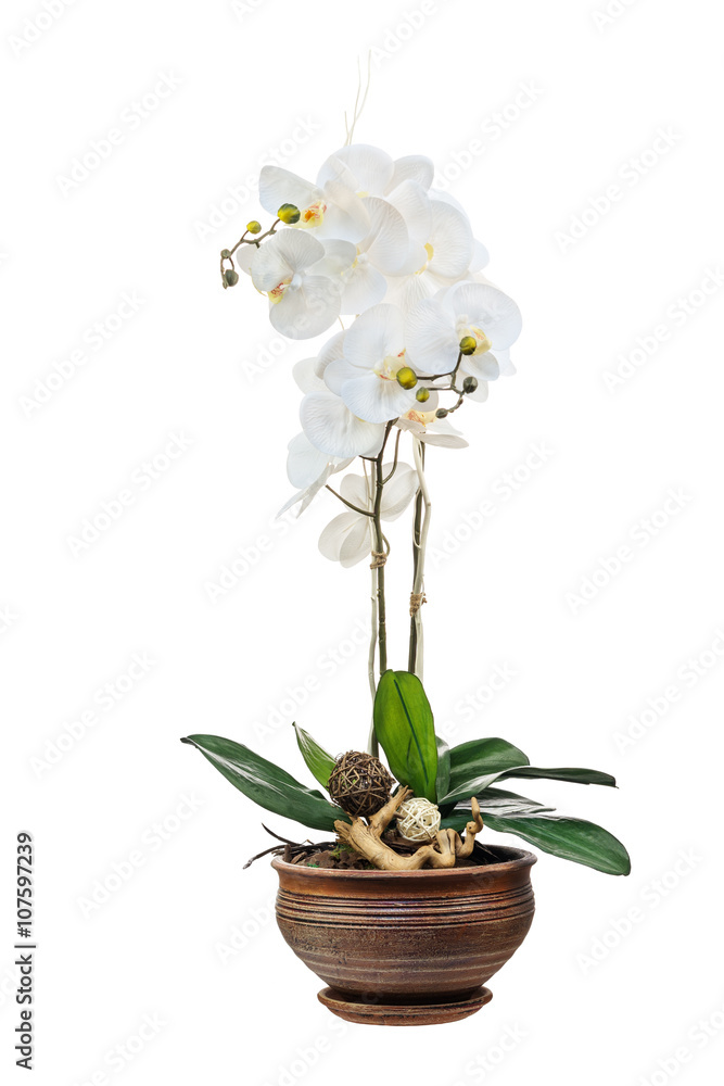 Floral arrangement from artificial orchid flowers.