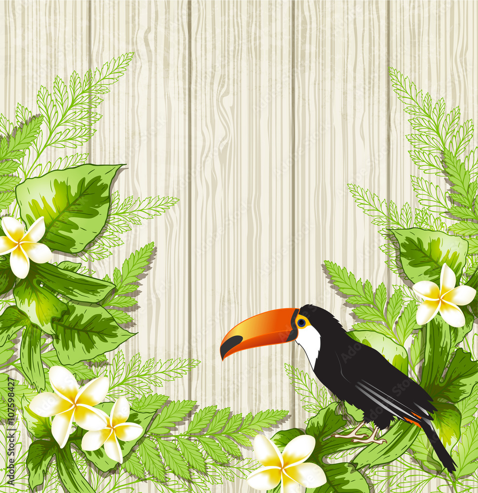 Obraz premium Tropical flowers and toucan