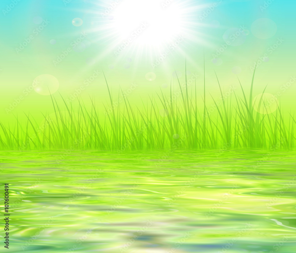 Sunny green natural background with water