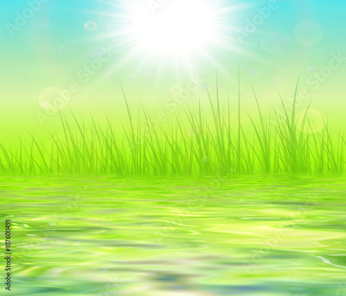 Sunny green natural backgro...