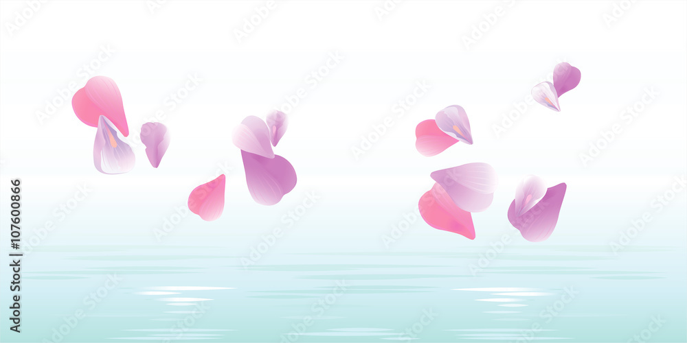 Pink petals falling in water. Sakura petals. Vector