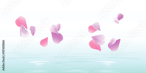 Pink petals falling in water. Sakura petals. Vector © Natasha_S