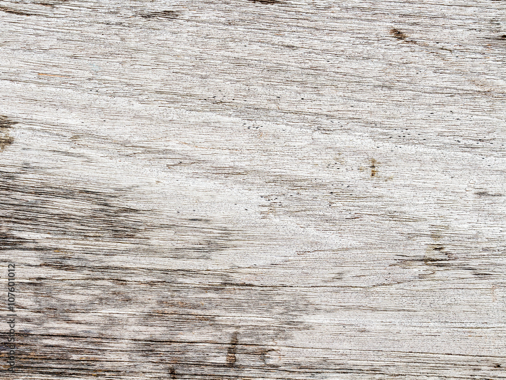 Fototapeta premium wood texture. background old panels