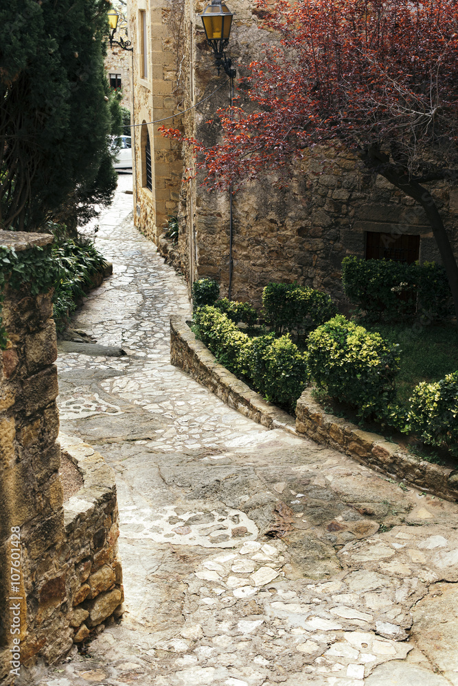 Cobble stone street path on a medieval village
