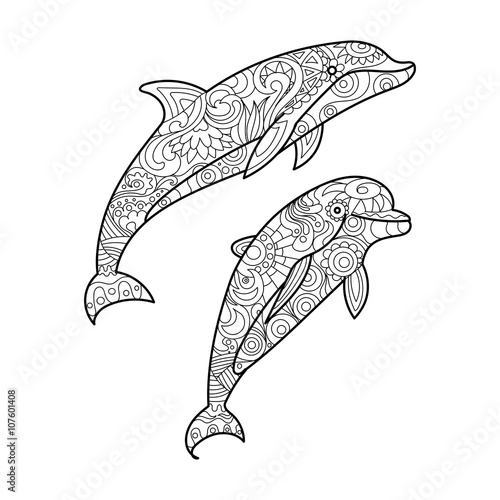 Dolphin coloring book for adults vector