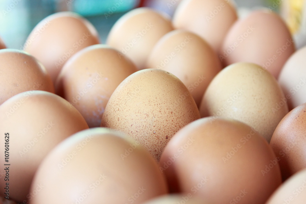 composition of chicken eggs that are in storage and ready to be distributed composition of chicken eggs that are in storage and ready to be distributed