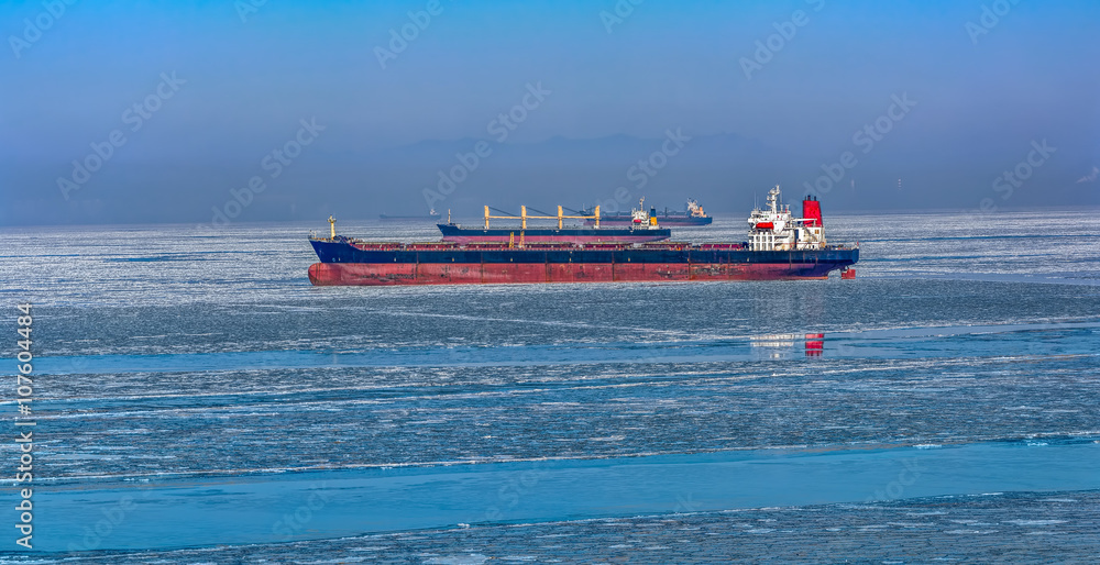 Cargo ships in ice