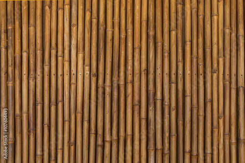 dry bamboo pattern background