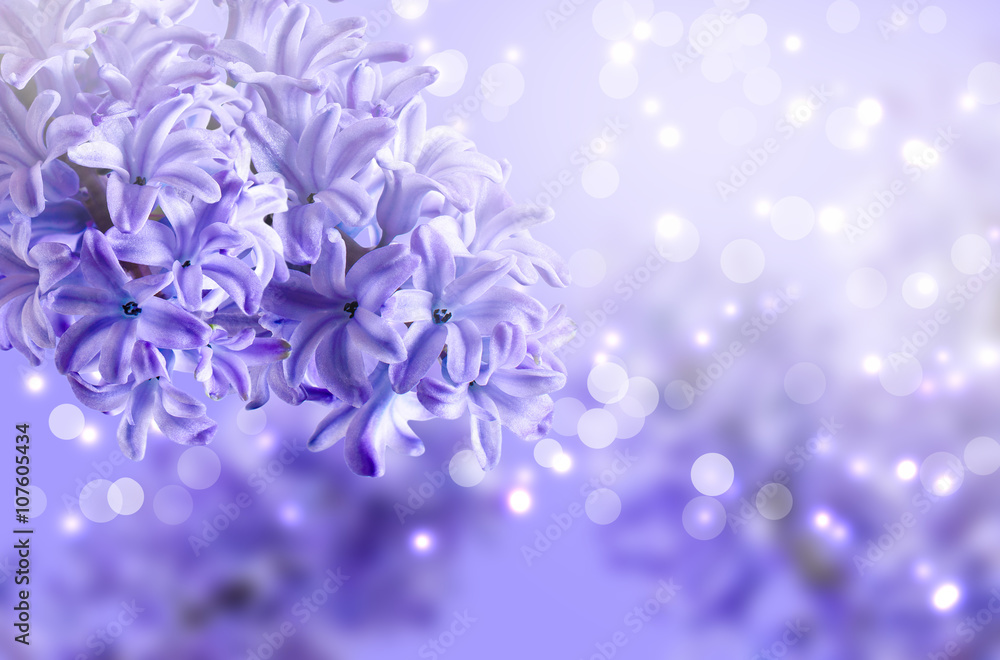 Beautiful floral background Beautiful floral background