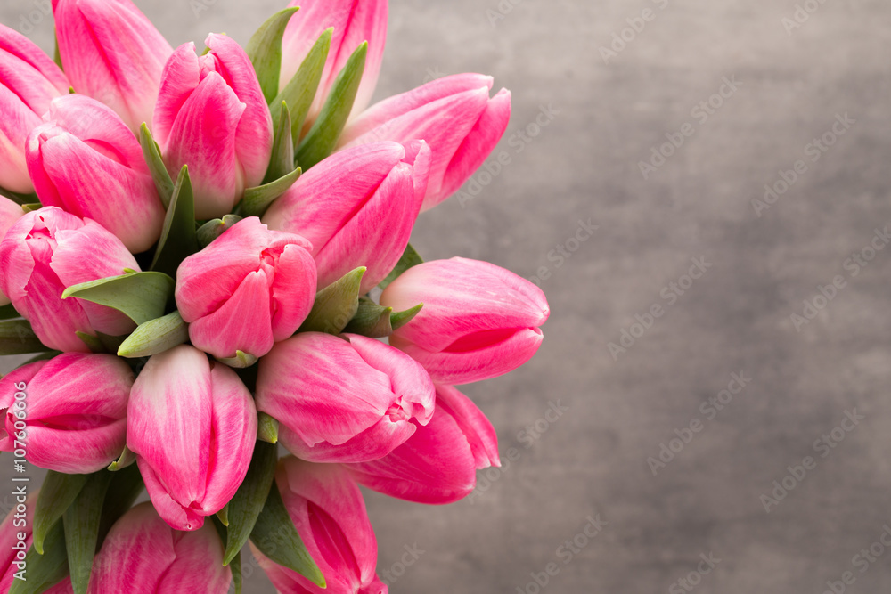 More tulip on the grey background.