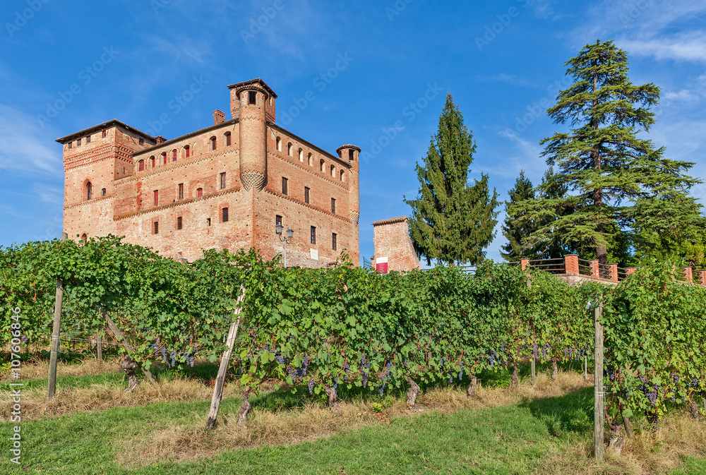 Old castle and green vineyards in Italy.