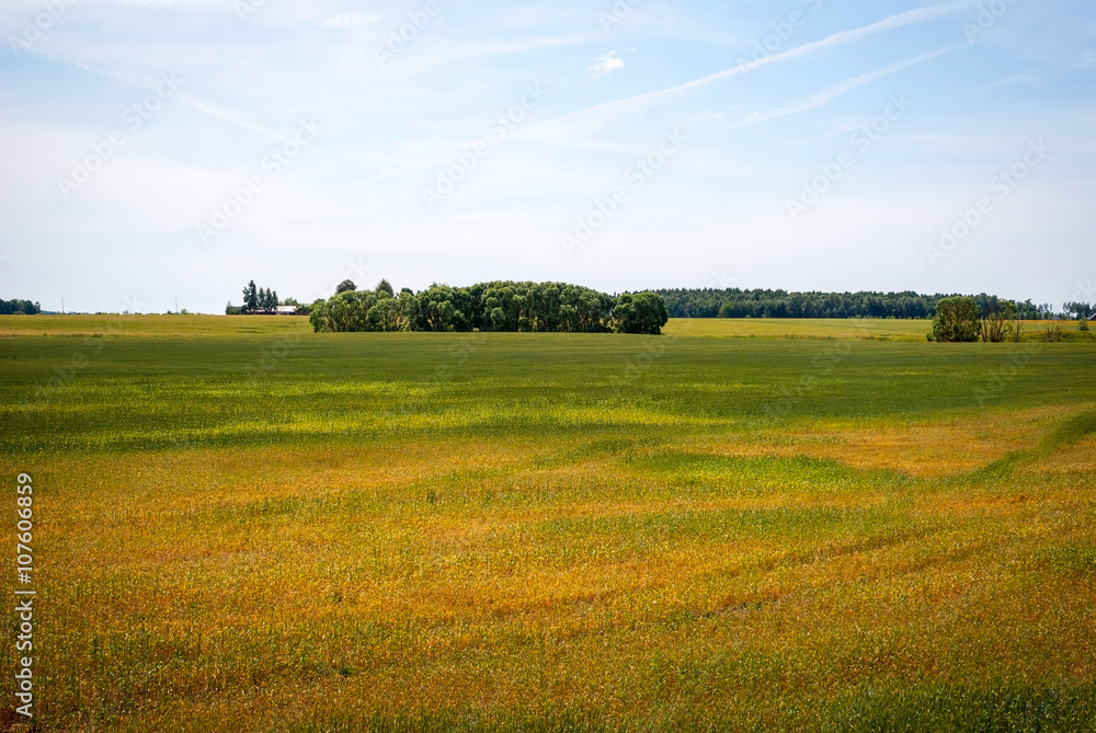 Green lithuanian countryside