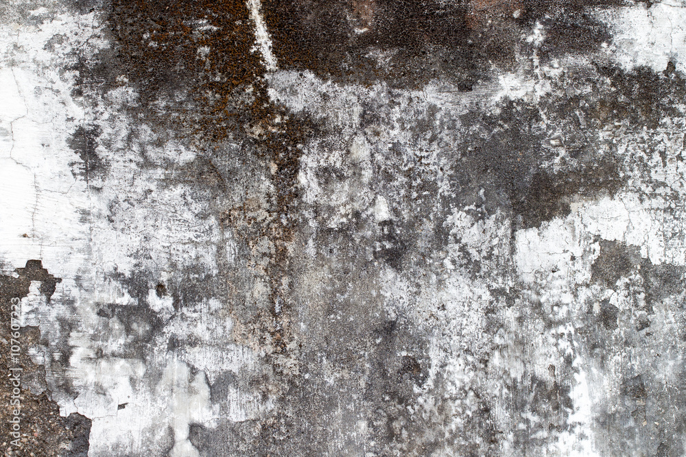 Obraz premium white concrete wall texture