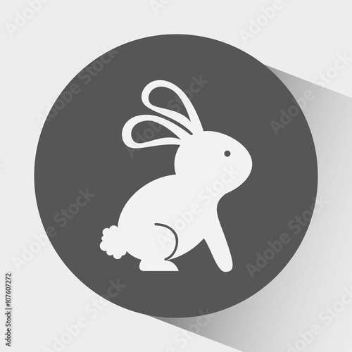 cute rabbit design 