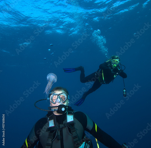 Jellyfish and divers in the mediterranean sea  © frantisek hojdysz