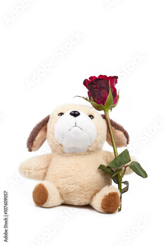 Dolly dog and red roses gift for valent's day