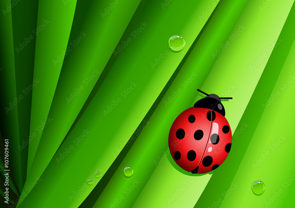 Fototapeta premium Graphic illustration of a lady bug on green leaves
