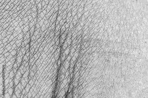 Rhinoceros skin