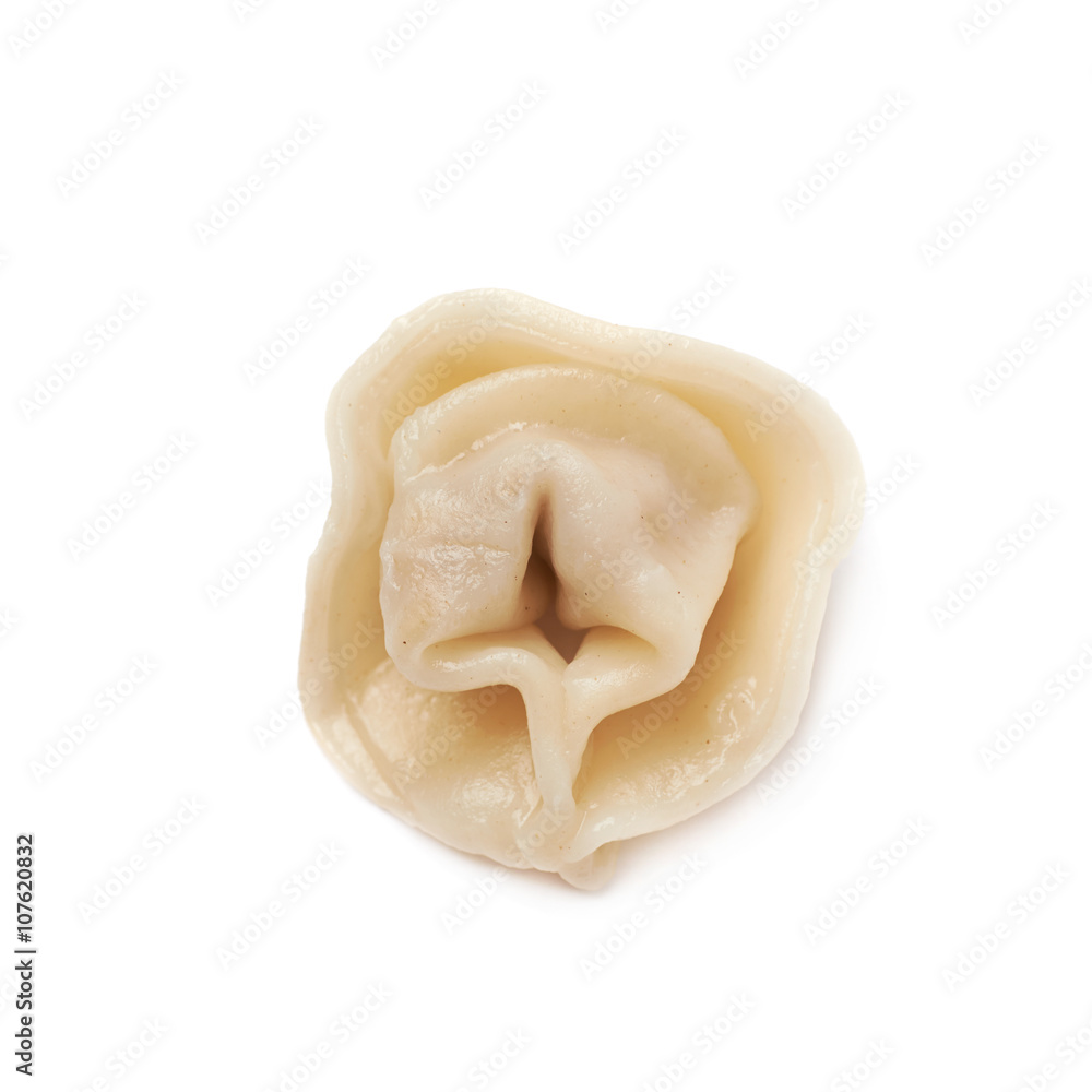 Single cooked dumpling isolated Single cooked dumpling isolated