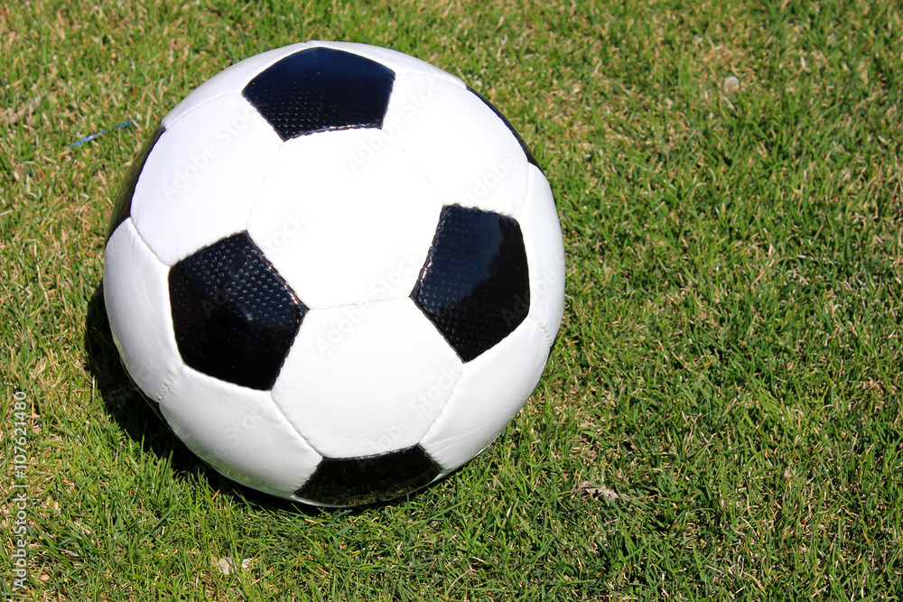 Football on a grass lawn Football on a grass lawn