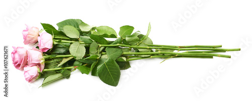 Pile of pink roses isolated