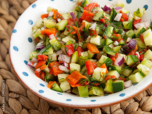 Healthy salsa salad with red and green peppers, onions and cucumber. Horizontal shot