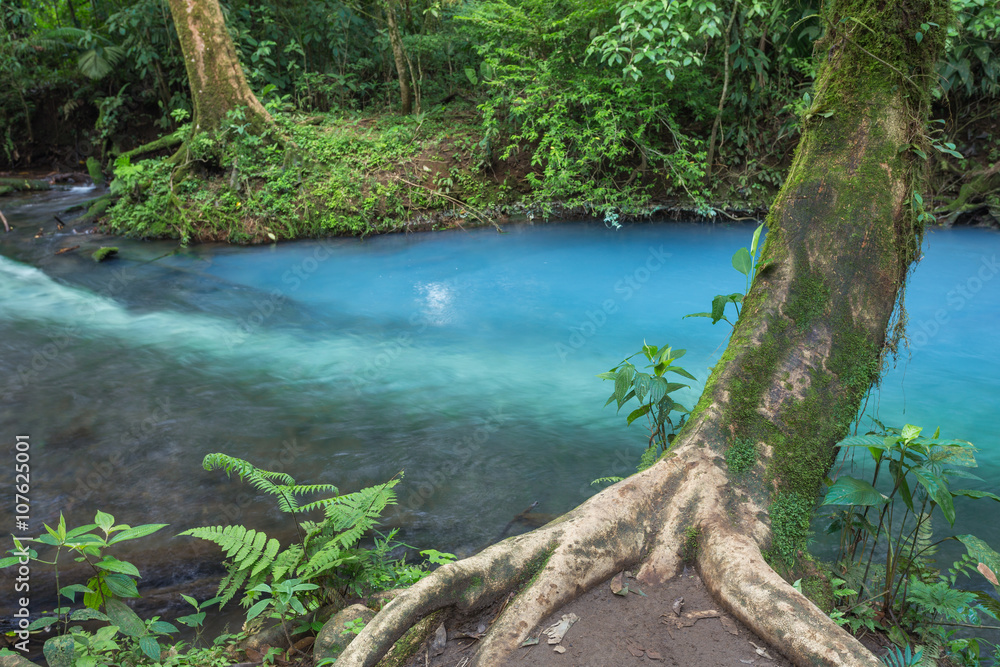 Scenic view of the jungle blue river in the Costa rica