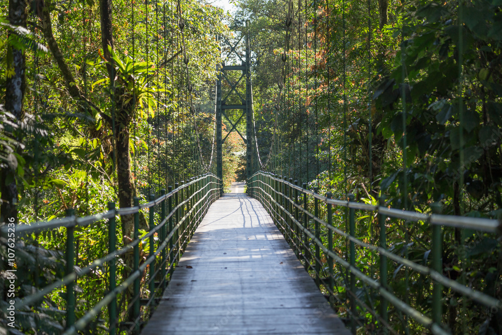 Hanging bridge view in the jungle - Costa rica, scenic landscape Hanging bridge view in the jungle - Costa rica, scenic landscape
