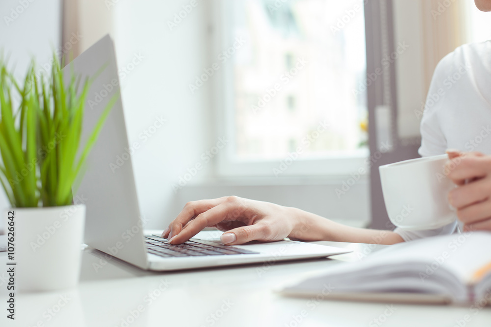 Fototapeta premium Umiejętna bizneswoman pracuje z notebookiem