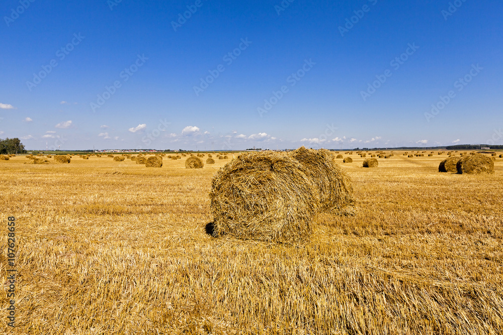 haystacks straw ,  summer