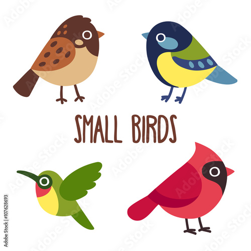 Cartoon birds set