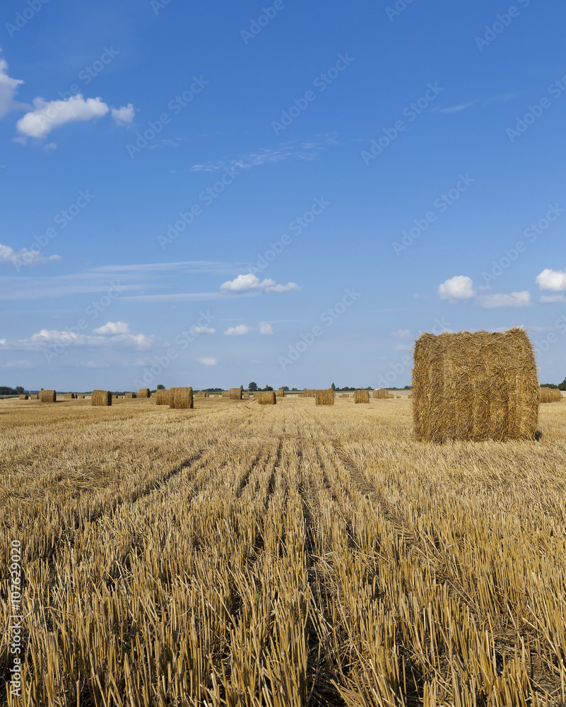 haystacks straw,  summer