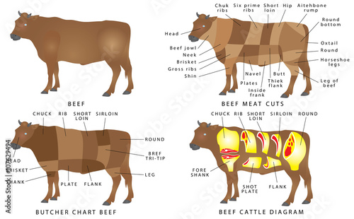 Beef chart